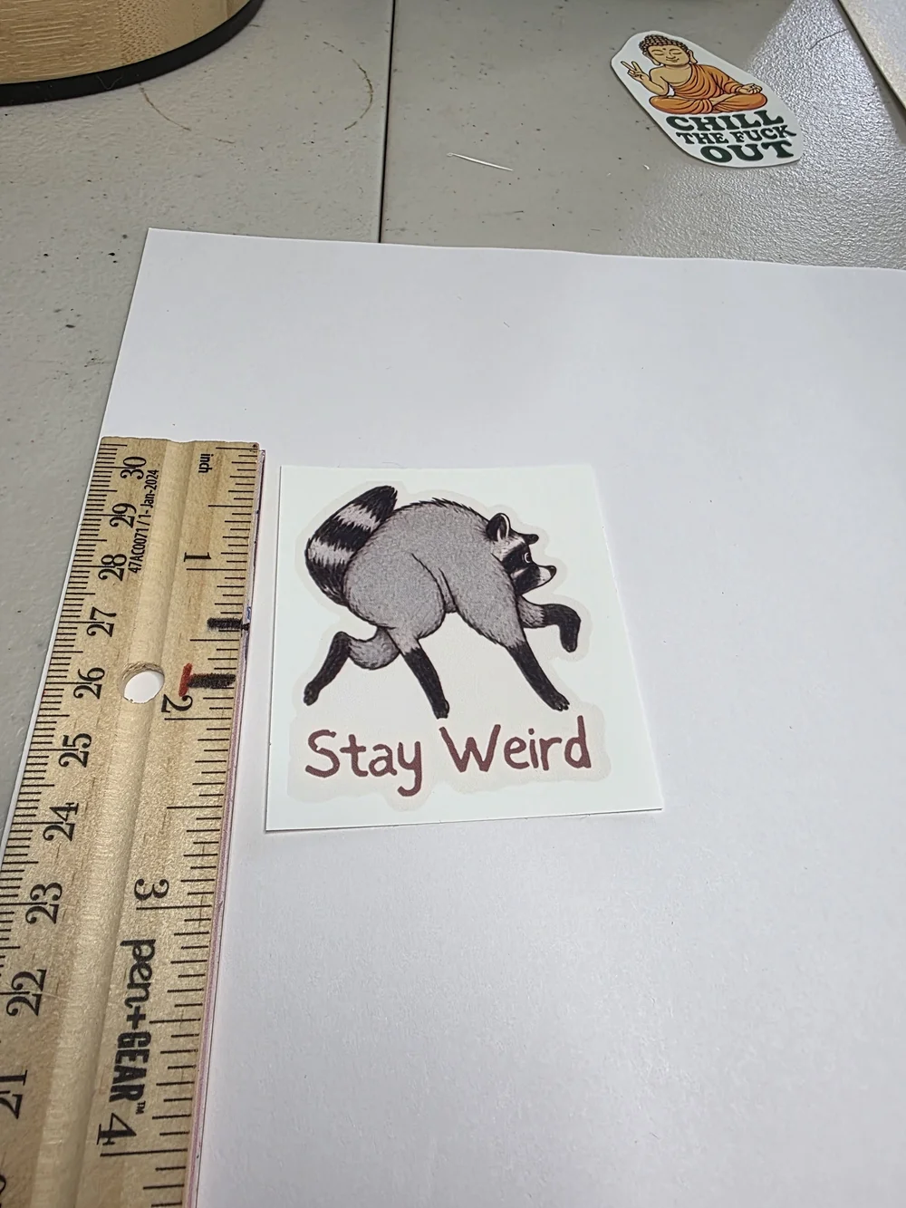 JIMOTHY Stay Weird Raccoon Wall Decal - Gray